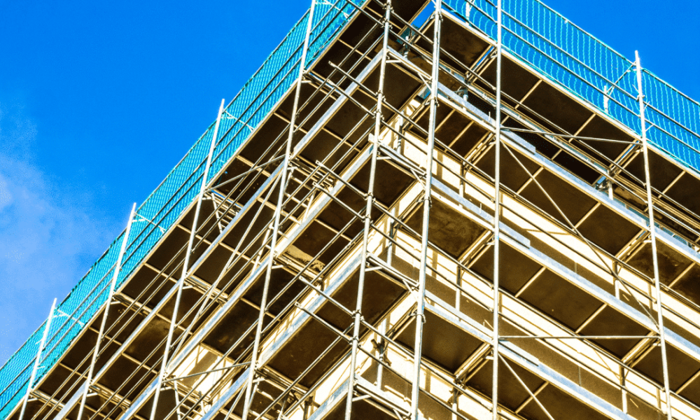Scaffolding project ashdown forest