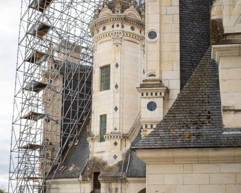 pexels-bingqian-li-230971044-16105790